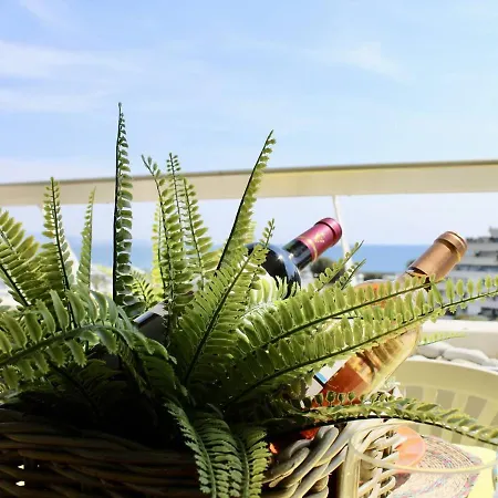 Apartamento 2 Pieces Avec Climatisation, 4 Couchages, A 100m De La - Fr-1-252a-33 Villeneuve-Loubet